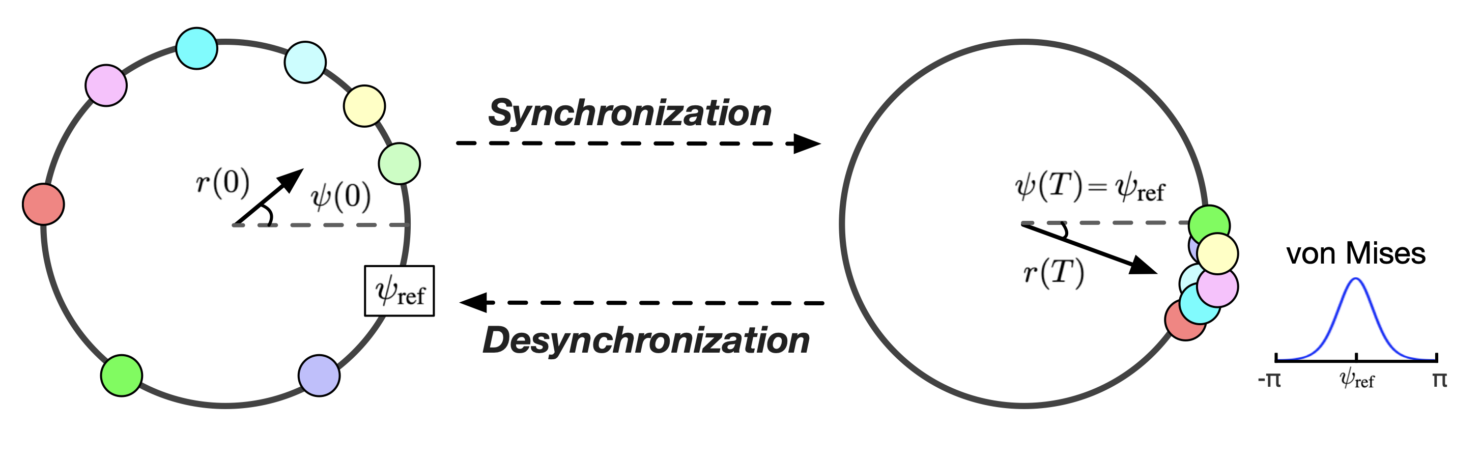 Kuramoto Orientation Diffusion Models